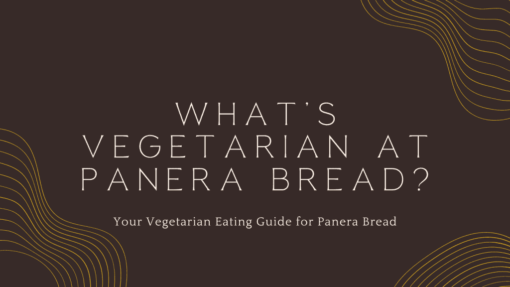 Vegetarian at Panera Bread