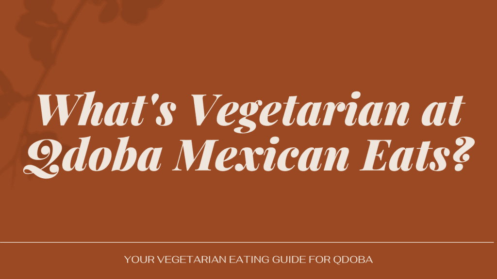 vegetarian at Qdoba Mexican Eats
