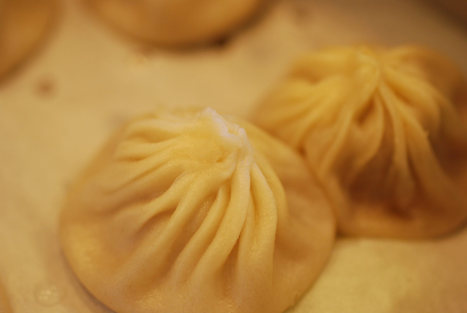 Close-up of xiao long bao soup dumplings at Din Tai Fung